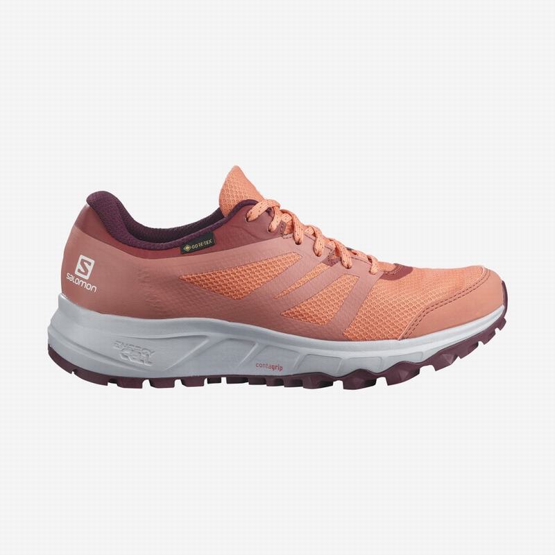 Buty Do Biegania W Terenie Damskie Salomon TRAILSTER 2 GORE-TEX - Niebieskie - Polska (697-LIDXVN)